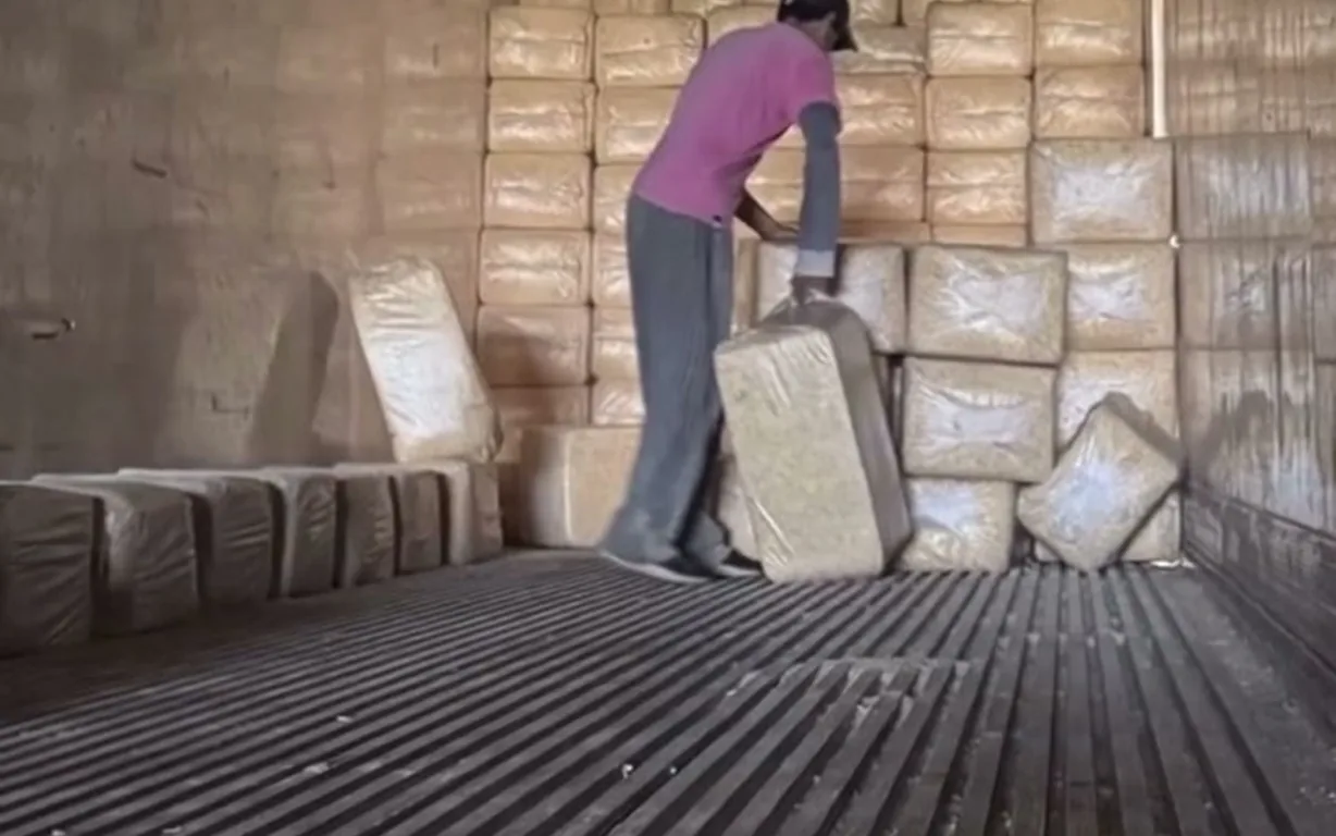 Bolsas de alimento apiladas en el depósito de Cerealf