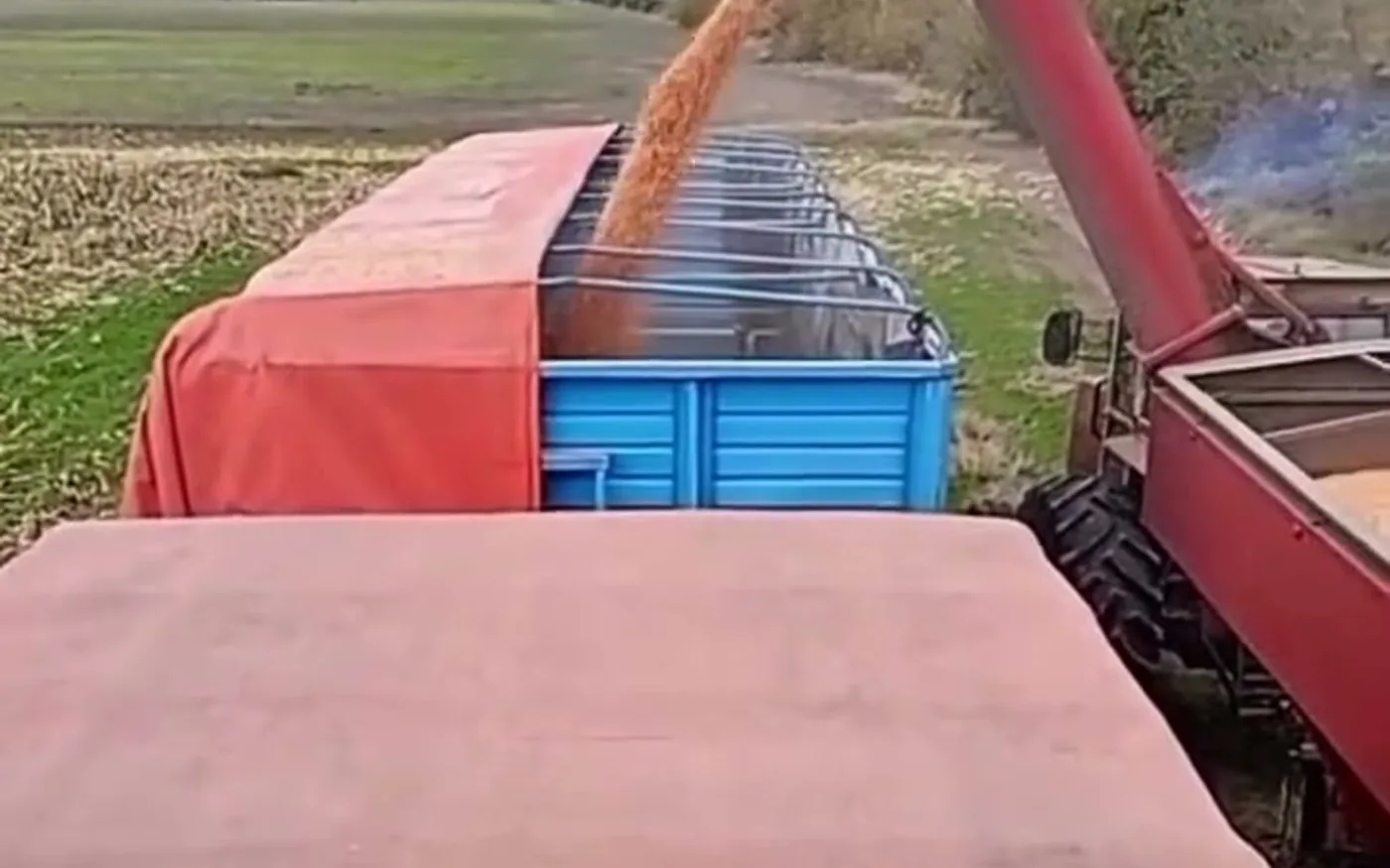 Cosechadora descargando maíz en un camión