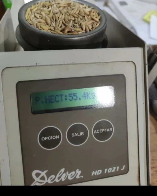 Balanza de laboratorio marcando el peso hectolítrico de una muestra de avena